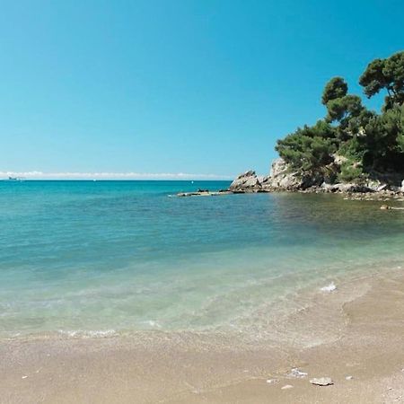 Superbe Rez-De-Villa 6P Calme & Plage A Pied Le Pradet Exterior foto